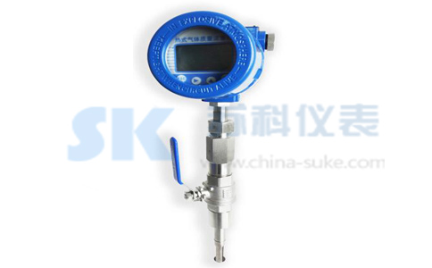 插入式(shi)熱式氣(qi)體質量(liang)流量計(ji)圖示