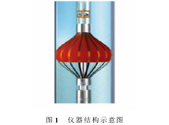 渦(wo)輪流(liu)量計(ji)在傘(san)式集(ji)流器(qi)結構(gou)圖