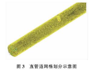 插入(ru)式電(dian)磁流(liu)量計(ji)直管(guan)道網(wang)格劃(hua)分示(shi)意圖(tu)