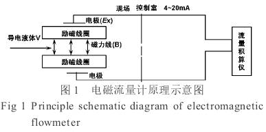 電(dian)磁流量(liang)計工作(zuo)原理圖(tu)