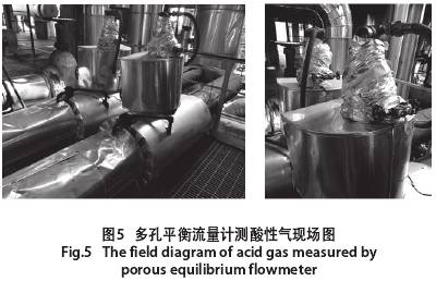 多(duo)孔平衡(heng)流量計(ji)測酸性(xing)氣現場(chang)圖示