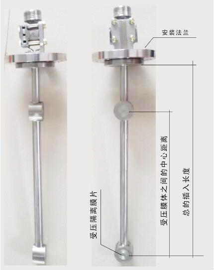 頂裝(zhuang)型差(cha)壓式(shi)密度(du)計圖(tu)示