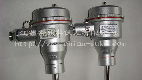 隔爆型(xing)熱電偶(ou)