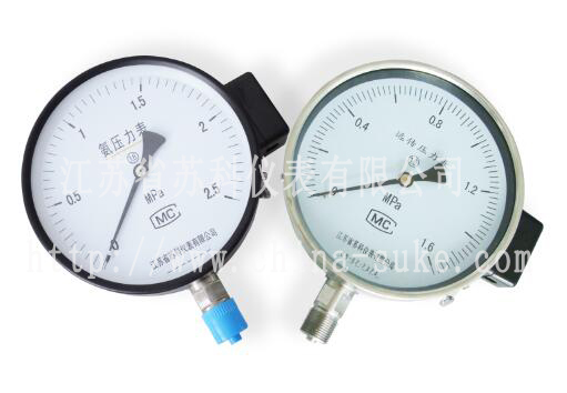 電阻(zu)遠傳壓力(li)表産品圖(tu)