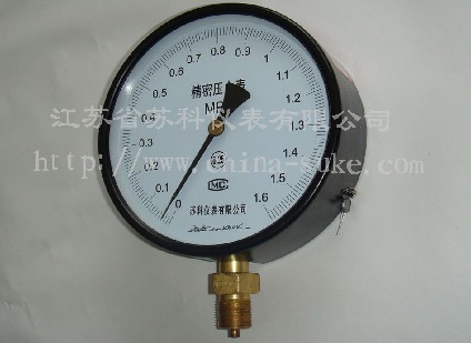 精密(mi)壓力(li)表